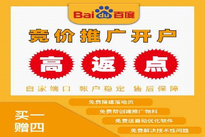 电商平台信息流广告的投放策略与效果评估案例